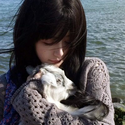 租借女友第三季